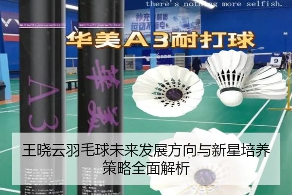 王晓云羽毛球未来发展方向与新星培养策略全面解析