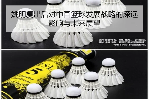 姚明复出后对中国篮球发展战略的深远影响与未来展望