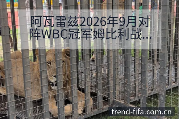阿瓦雷兹2026年9月对阵WBC冠军姆比利战术价值深度分 - 世界杯赛程表